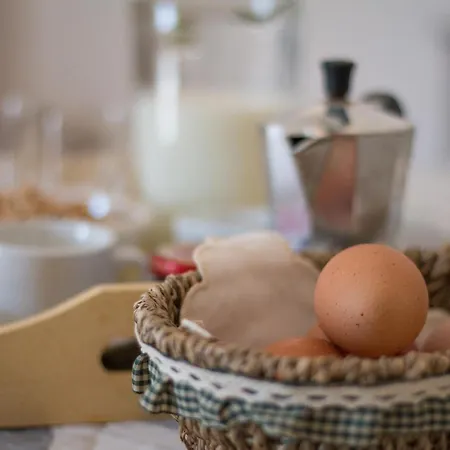 Masseria Casa Busciana Farm stay Alberobello